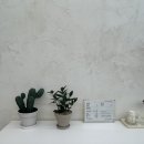 무아네일스튜디오 이미지