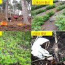 덕거마을협동조합 이미지