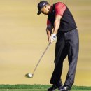 더 나인 PT 이미지