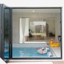 스테이다정 이미지