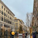 삼다민박 | 2day_로마/251219: 발바닥살려