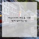 브이의원 이미지