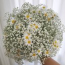 에덴꽃화원 이미지