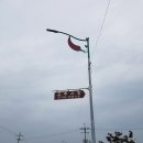 구기자 약초시장 이미지