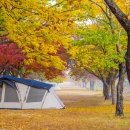 운문댐하류보1 이미지