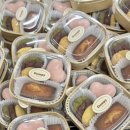 덤피(Dumpy) 이미지