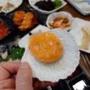 맘모스26호
