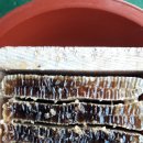 동두천-003 이미지