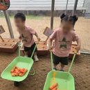 깊은샘블루베리농장 | 🍇팜스쿨 블루베리농장에 다녀왔어요♥🍇