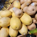 하와이마트 이미지