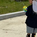 녹색로 41 이미지