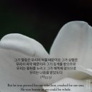 탄현모타 이미지