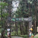 주정차-5 | 육아기록. 엄광산 유아숲체험