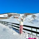 다혜-목장 이미지