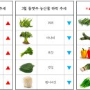 1등유통 네이버블로그