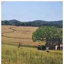 은애농장 이미지