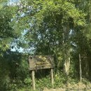 세븐일레븐 원주우산나이스점 | [치앙마이] 1일차_그랜마스홈쿠킹클래스, 그래프커피, 왓프라싱, 마사지까지