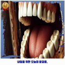 마포구 연남동 인근 치과 서울플랜트치과의원 ୧ʕ•̀ᴥ•́ʔ୨ GO!!