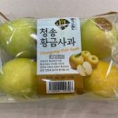 사과시험장 앞 이미지