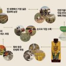 (주)알로에베라코리아 이미지