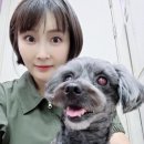 이쁘개 아름답개 이미지