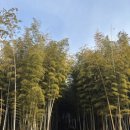 상진 목장 이미지