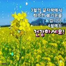 3월 28일(토) 어제 내 고향 정선에서 첫 일상과 관련된 이야기 이미지