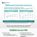 바른반려견센터 이미지