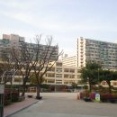 신천초교 정문 앞 이미지