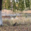 구미향 족발 이미지