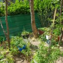 소생공인중개사사무소 이미지