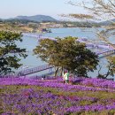 대교공원 체험관광센터 이미지