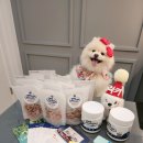 도그스낵 이미지