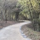 울산암각화박물관 | 울산가볼만한곳 반구대암각화 겨울 방문후기