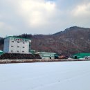 2024년산 단양산림조합목재펠릿후기 단양공장에 펠릿사러 다녀오다.