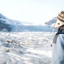 제스퍼(JASPER) 이미지