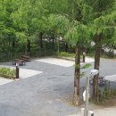 장태산자연휴양림 캠핑장 이미지