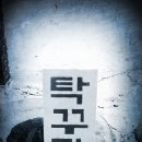 양강중학교 앞 이미지