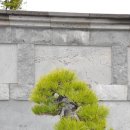 제주아트랜드 이미지