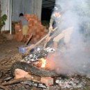 성의농장 이미지