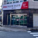 숲아이래쉬