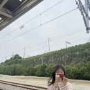 산척시골식당산척점 | 2025년 5월 여수
