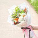 서브힐링 이미지