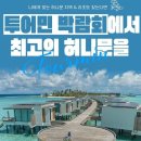 민투어 이미지