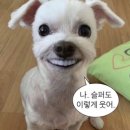 소마니 | [나의] 5월
