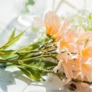흑백셀프사진관 이에스 스튜디오 대여 자연광 렌탈 3호점