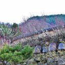 명산농원