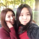 위너비스