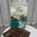 장소프트 | 14살 노견도 잘 먹는 닥터소프트 사료 후기