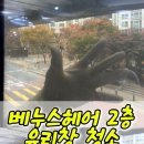 베누스헤어 네이버블로그